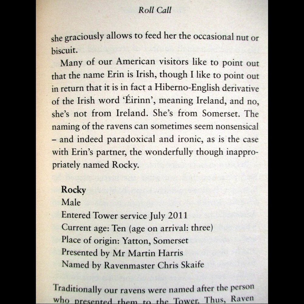 Book - The Ravenmaster: My Life with the Ravens at the Tower of London -- Skaife - Picture 13 of 16